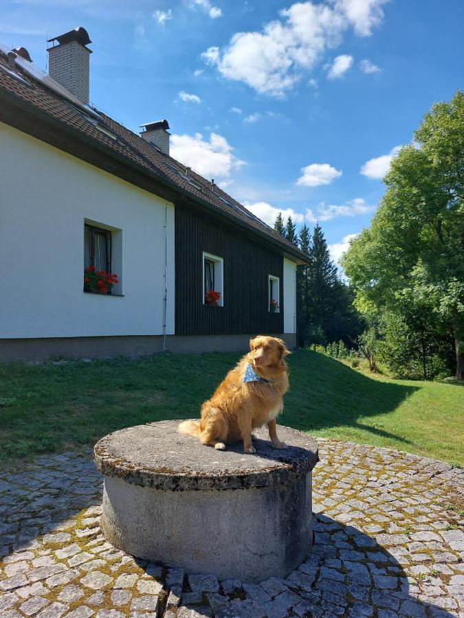 Penzion Na Vysluni Strasin Exterior photo