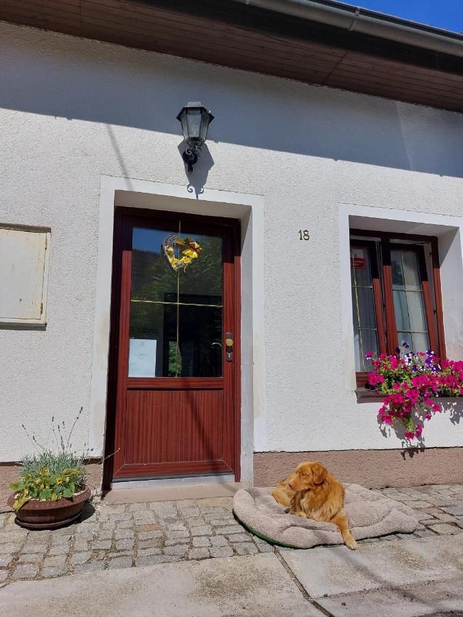 Penzion Na Vysluni Strasin Exterior photo